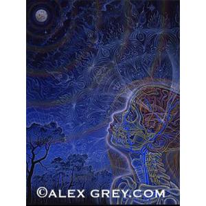 ALEX GREY CosmicChrist ポスター アレックスグレイ サイン