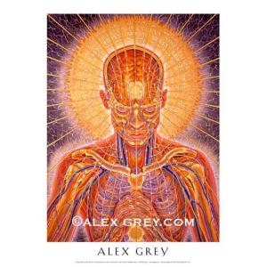 ALEX GREY アレックスグレイ ポスター「PRAYING」｜psychedelicgarden