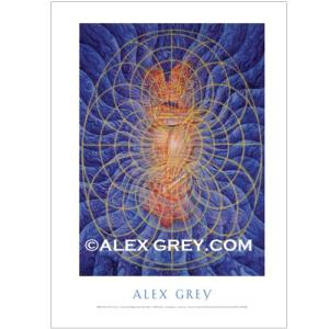 ALEX GREY アレックスグレイ ポスター「Newborn」 : PSYCHEDELIC