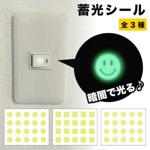 蓄光 スイッチ シール 夜光 ステッカー テープ 丸 四角 スマイル にこちゃん 高輝度 階段 転倒防止 安全対策 目印 1cm 20枚入 シンプル