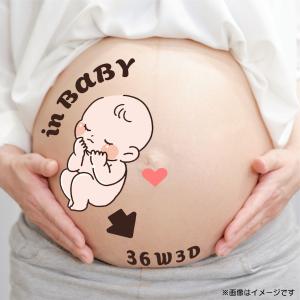 マタニティシール 水無しで貼れる セルフマタニ...の詳細画像2