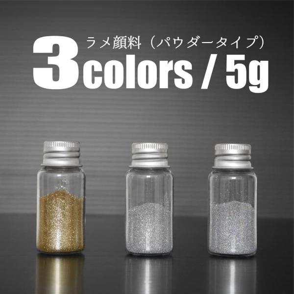 pigment 6 ラメ 顔料 5g ゴールド シルバー ホログラム 金 銀 パウダー 自由研究 手...