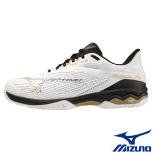 《送料無料》MIZUNO　ウエーブエクシード　ライト2　SW　OC　61GB2319　ミズノ　ユニセックス　テニスシューズ　砂入り人工芝・クレーコート用｜ptennis