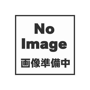 HiKOKI（ハイコーキ） HiKOKI BS30、BS30SA用角のみ 30mm（ノミだけ