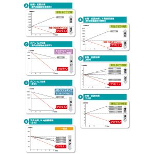 【北里環境研究センター試験報告書付き】プラチナ...の詳細画像5