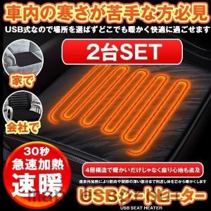 ホットカーシート カーシートヒーター ヒータークッション ２台セット 極暖 速暖 車 運転席 助手席 家 会社 電熱 USB 電気マット