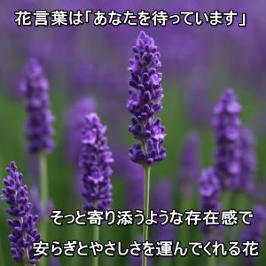 バターナイフ 置き 付き バター 小皿 バター...の詳細画像4