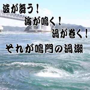 大鉢 陶器 そうめん 和食器 盛り鉢 煮物 う...の詳細画像3