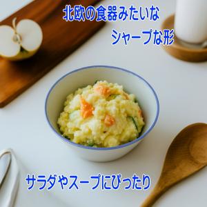 わけあり ブルーライン 13cm サラダボウル...の詳細画像3