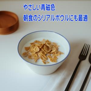 わけあり ブルーライン 13cm サラダボウル...の詳細画像4