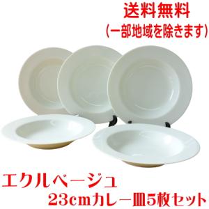 送料無料 エクルベージュ 23cm カレー皿 5枚 セット リム プレート パスタ皿 くぼみ レンジ 可 食洗機 対応 美濃焼 日本製 スープ皿｜puchiecho