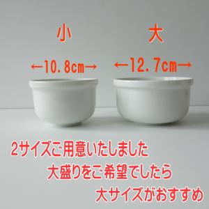 スープ ボウル 12cm リゾット ボウル 大...の詳細画像5