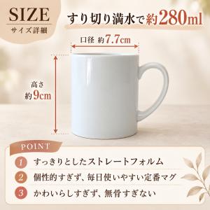 マグカップ 満水 280ml ストレートマグ ...の詳細画像1