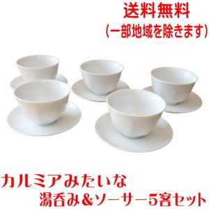 煎茶道具 湯沸かし 湯沸し 京焼き 横手ボーフラ 素焼き 内水止めあり