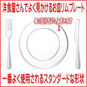 小皿 白サンゴ 16cm プレート 取り皿 レ...の詳細画像2
