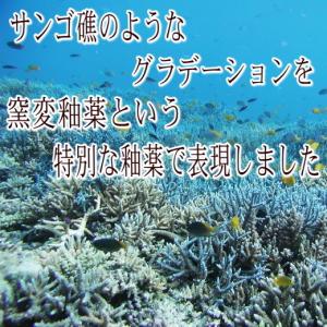 小皿 白サンゴ 16cm プレート 取り皿 レ...の詳細画像4