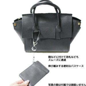 パスケース 定期入れ メンズ レディース 免許...の詳細画像1