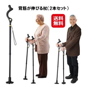 背筋が伸びる杖（２本セット）  送料無料  ポイント3倍 杖 折りたたみ 軽量 女性 男性 自立式 ステッキ 介護 姿勢改善 背筋伸びる 猫背矯正 長さ調節可能 ユー…