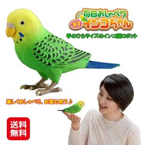 毎日おしゃべり 「天才インコちゃん」    ポイント3倍