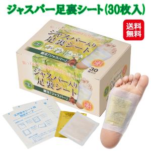 レミントン 遠赤足うらシート一体型 30枚入り : K-STORE-Y - 通販