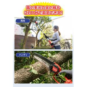 ファミラ 充電式コードレス2WAY高枝チェーン...の詳細画像2