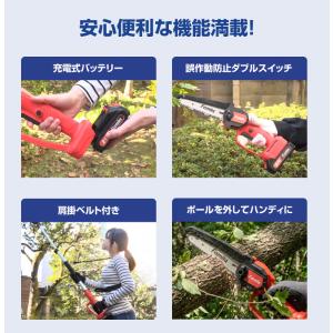 ファミラ 充電式コードレス2WAY高枝チェーン...の詳細画像3