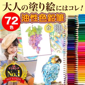 色鉛筆 72色 大人の塗り絵 油性 塗り絵 ぬりえ 子供 プレゼント