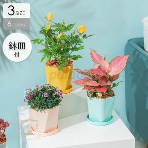 植木鉢 プランター おしゃれ 鉢植え 花 栽培 プレゼント ギフト 母の日 通販 かわいい ガーデニング ホワイト グレー ブルー グリーン ハイセンス Pu0923 He61 プラウド 通販 Yahoo ショッピング