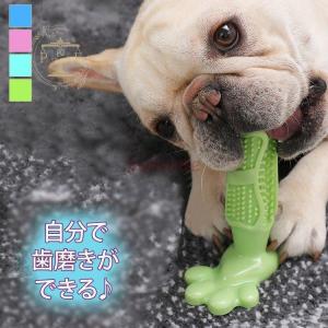 簡単入れ歯 犬用おもちゃ の商品一覧 犬用品 ペット用品 生き物 通販 Yahoo ショッピング