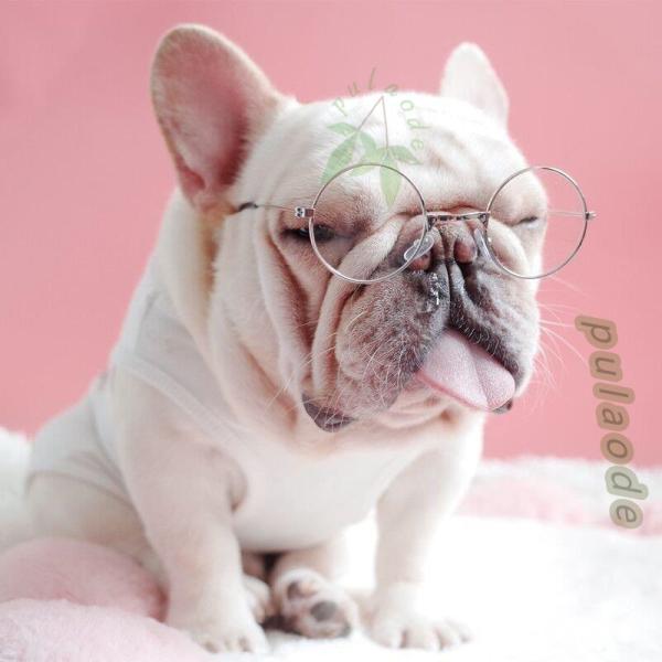 ファッション ペットサングラス犬猫用眼鏡 メガネ丸眼鏡 ペットグッズ 眼の保護に 小型犬用 子犬用 ...