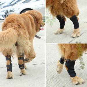 犬用サポーター 膝の商品一覧 通販 Yahoo ショッピング
