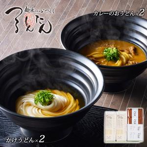 つるとんたん かけとカレーのおうどん ギフトセット 6人前 うどん 乾麺