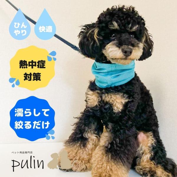 犬 犬用 クールネック ネッククーラー ひんやりグッズ 保冷剤 クールリング 犬熱中症対策グッズ ペ...