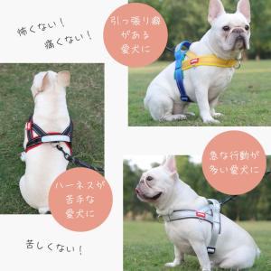 犬フレブル ハーネス 抜けにくい フレブル 中...の詳細画像1