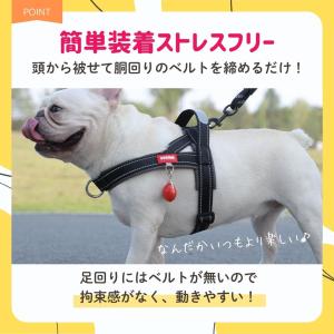 犬フレブル ハーネス 抜けにくい フレブル 中...の詳細画像5