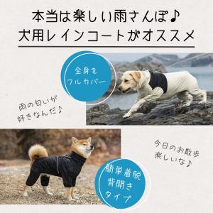 犬 大型犬 レインコート 中型犬 柴犬 ゴール...の詳細画像4