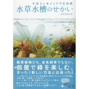 水草水槽のせかい　＜送料無料＞｜pulsebit