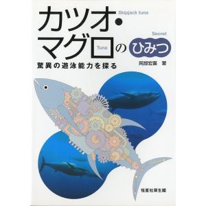カツオ・マグロのひみつ　