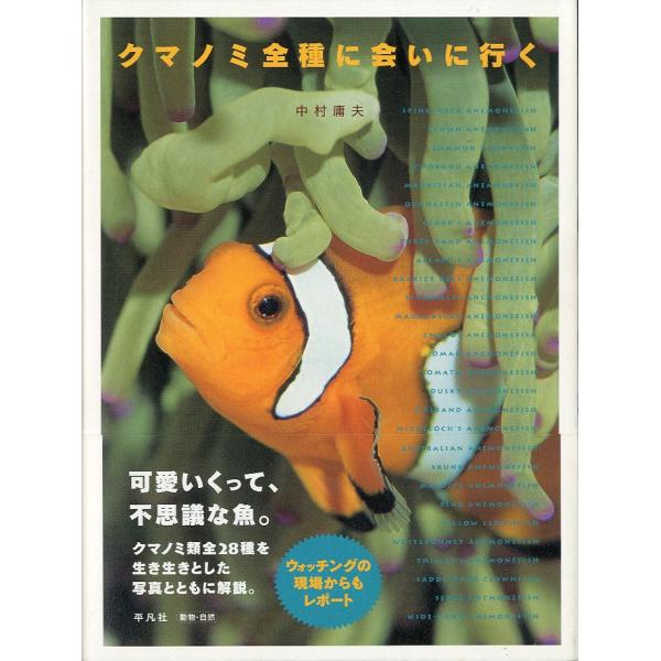 クマノミ全種に会いに行く