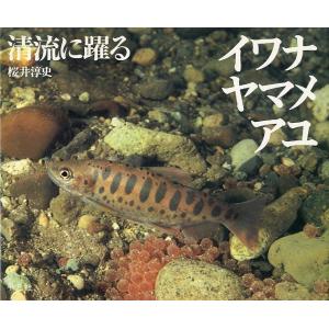 イワナ　ヤマメ　アユ  清流に躍る　　