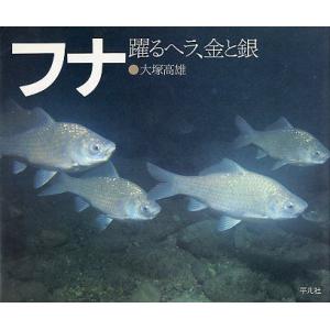 フナ　躍るヘラ、金と銀