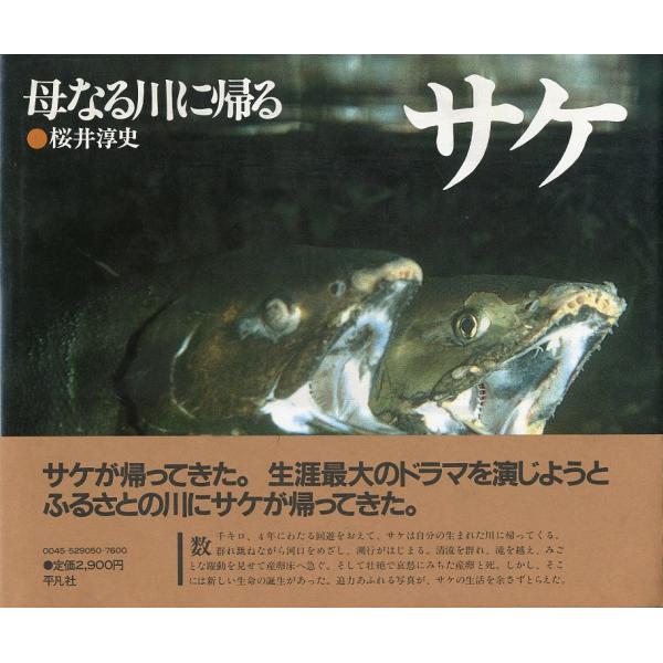 サケ　母なる川に帰る