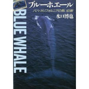 ブルーホエール　ーバハ・カリフォルニアの青い巨鯨ー