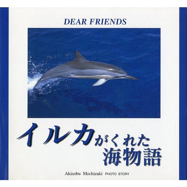 イルカがくれた海物語　