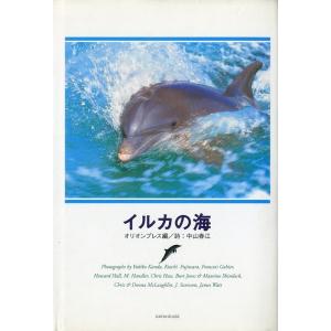 イルカの海　