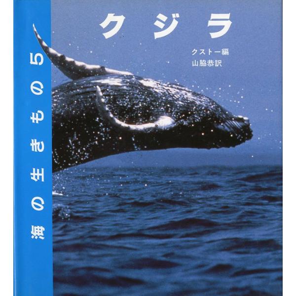 海の生きもの５　クジラ　