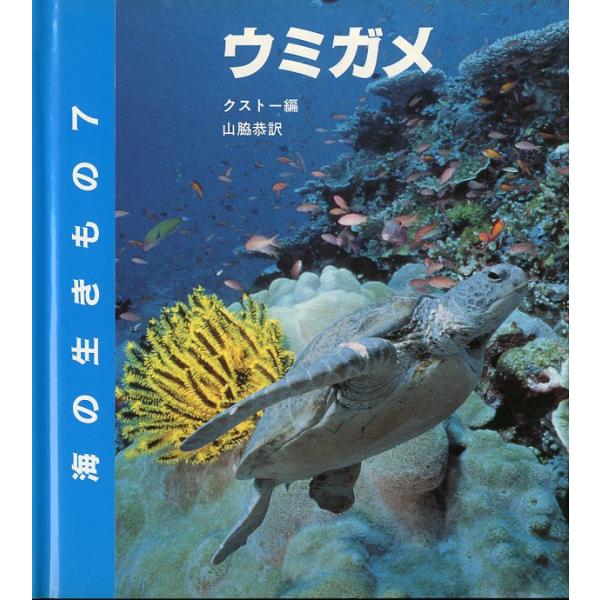 海の生きもの５　ウミガメ　