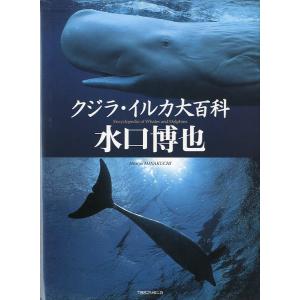 マッコウクジラ 動物たちの生活シリーズ : さかなの本屋さん ヤフー店