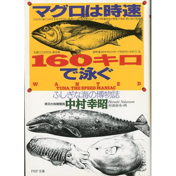 ーPHP文庫ー　マグロは時速160キロで泳ぐ　ふしぎな海の博物誌