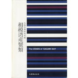 相模湾産蟹類　＜送料込＞｜pulsebit